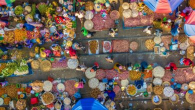 stellar arc start unlocks horizons