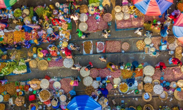 stellar arc start unlocks horizons