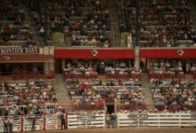 stellar horizon start 8558348495