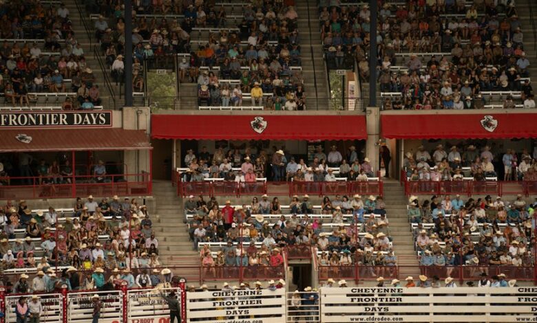 stellar horizon start 8558348495