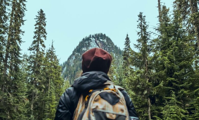 trailblazing flux across ventures