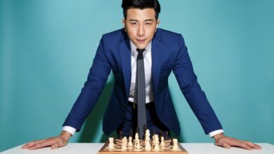 visionary apex driving leadership