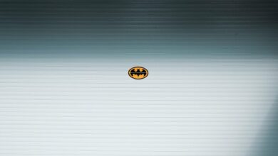 visionary radiance drives innovative success