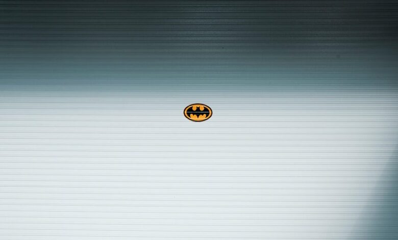 visionary radiance drives innovative success