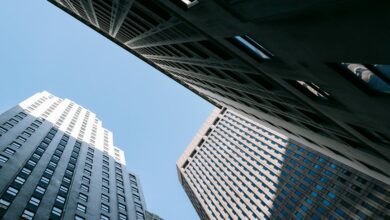 how tazopha investment group work explains tazopha group operations